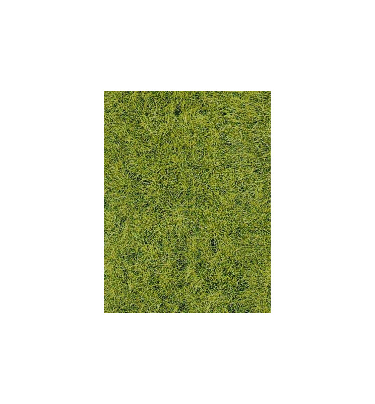 Heki 1576 - Trawa siateczka leśna zieleń 28x14 cm