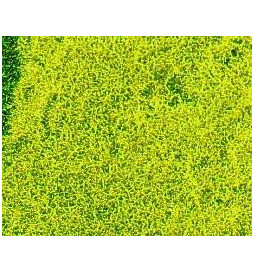 Heki 1593 - Trawa żółtozielona niska 28x14 cm