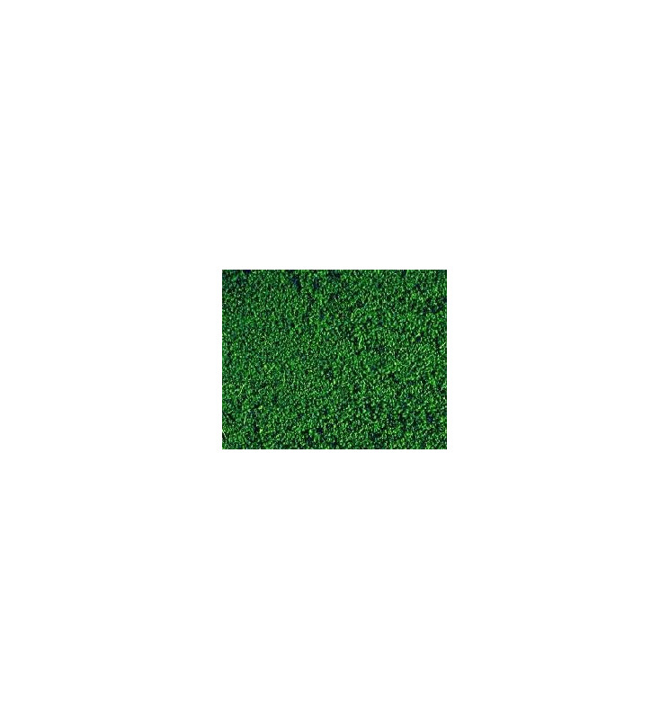 Heki 1603 - Heki Mikroflor zieleń sosny 28x14 cm