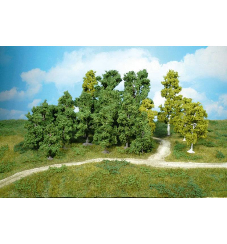 Heki 1955 - Drzewa liściaste 5-11 cm, 20 szt.