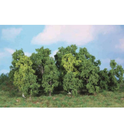 Heki 1992 - Drzewa liściaste 5-12 cm, 14 szt.