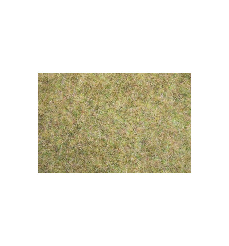 Noch 00416 - Natur+ Meadow Mat “Field”