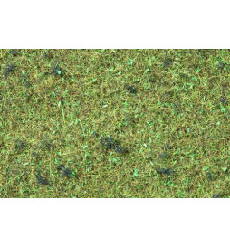 Noch 08157 - Scatter Grass “Forest Floor”