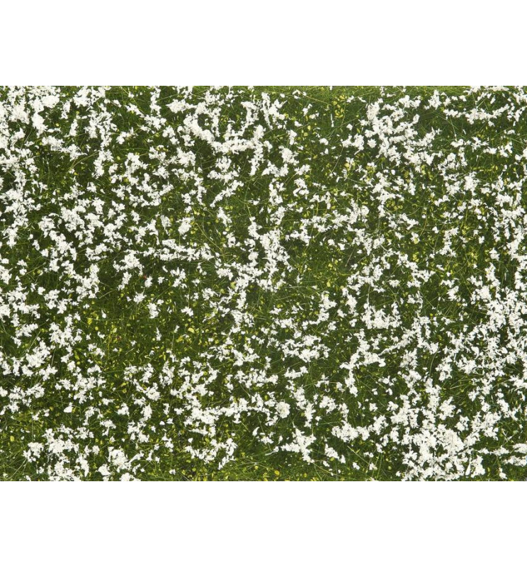 Noch 07256 - Siateczka łąka biała