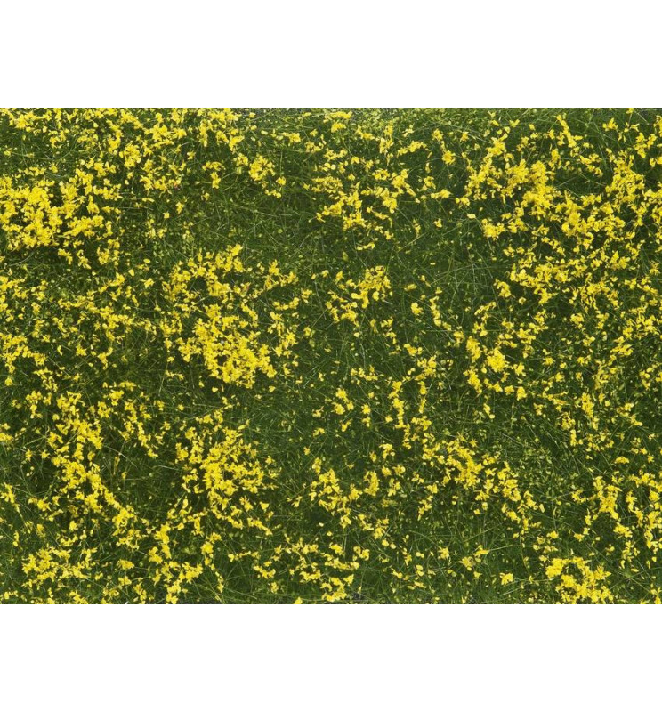 Noch 07255 - Siateczka żółta łąka